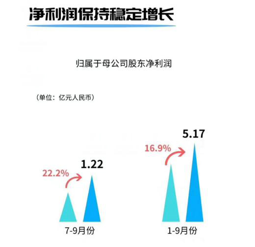 :2019ҵ22.19%